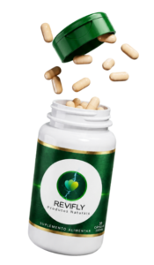 Revifly Site Oficial